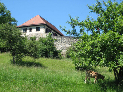 Burg Wäscherschloss